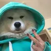 Paulo Temme - @paulotemme1 - TikTok