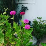 Paul Templin - @paultemplin - Instagram