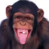 Tepes Paul - @tepespaul - TikTok
