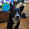 Paul Terrell - @paul.terrell3 - TikTok