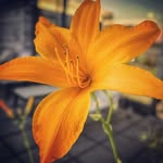 Nature photography - @the_beauty_of_nature_by_paul - Instagram