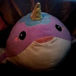 Paul The Narwhal - @paulthenarwhal_ - Instagram