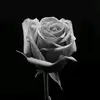 Paul Thenbry - @paul.thenbry - TikTok