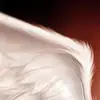Paul Thiem788 - @xxjdjtixx - TikTok