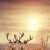 Paul Thom - Facebook