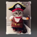 Paul Tieman - @paultieman - Instagram
