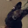 Paul timo - @timopaul03 - TikTok