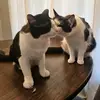 Paul+Timothy - @paultimothy534 - TikTok