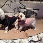 Paula Timperley - Facebook