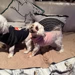 Paula Timperley - @paulatimperley - Instagram