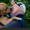 Andrew Paul Tipple - @andrew.paul.tippl - TikTok