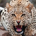 Paul Tirrell - @tirrellpaul - Instagram