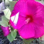 Jean Paul Tison - @jeanpaultison - Instagram