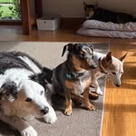Paul Tol - @paul.tol - Instagram