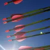 Paul Tolson - @paul.tolson - TikTok
