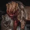 paultolson457 - @paultolson457 - TikTok