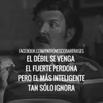 paul toro - @paultoro60 - Instagram