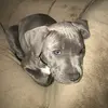 Paul Torrez - @paultorrez7 - TikTok