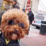 Paul Totman - @paztot - Instagram