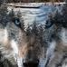 Paul Totten - Facebook
