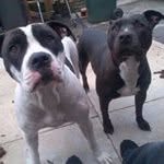 paul townson - @townsonpaul - Instagram