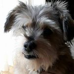 Paul Tozer - @tozerp - Instagram