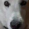 Paul Trafford - @paul.trafford - TikTok