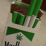 Paul Trapp - @trapp420 - Instagram
