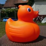 Paul Trapp - @trapp.paul - Instagram