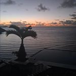 Paul Trask - @traskpaul - Instagram
