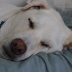 Paul W. Trask - @paul.w.trask - Instagram