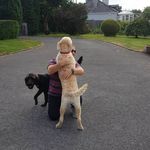 Paul Treacy - @treacy128 - Instagram