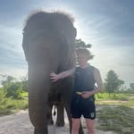 Paul Treacy - @paulyt98 - Instagram