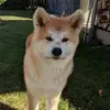 paultrefz - @paultrefz - TikTok