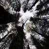 Paul Trigger - @p.trigger - TikTok