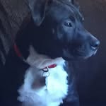 Paul Trim - @paul.trim.39 - Instagram