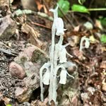@paul_trimble_ - Instagram