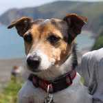 Paul Trott - @paul.trott.7 - Instagram