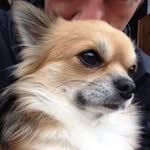Paul Tullis - @gizfaecden - Instagram