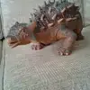 paultuohy33 - @paultuohy33 - TikTok