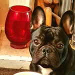 Paul Twist - @paul.twist.798 - Instagram