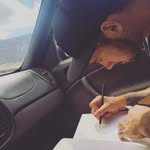 paul twist - @paulietwist - Instagram