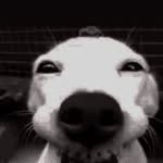 Paul Ursoi - @_paulursoi_ - Instagram
