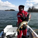 Paul Vainio - @paulvainio - Instagram
