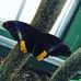 Butterfly Wonderland: Photos and Videos by Paul Valach - Facebook