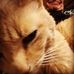 Paul Valach Video - Facebook