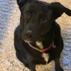 Paul Valachovic - @paulvalachovic - TikTok