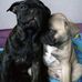 Valenta Paul - Facebook