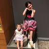 paulvancelette1 - @paul.vancelette - TikTok