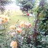 paul - @paul.vasile0 - TikTok